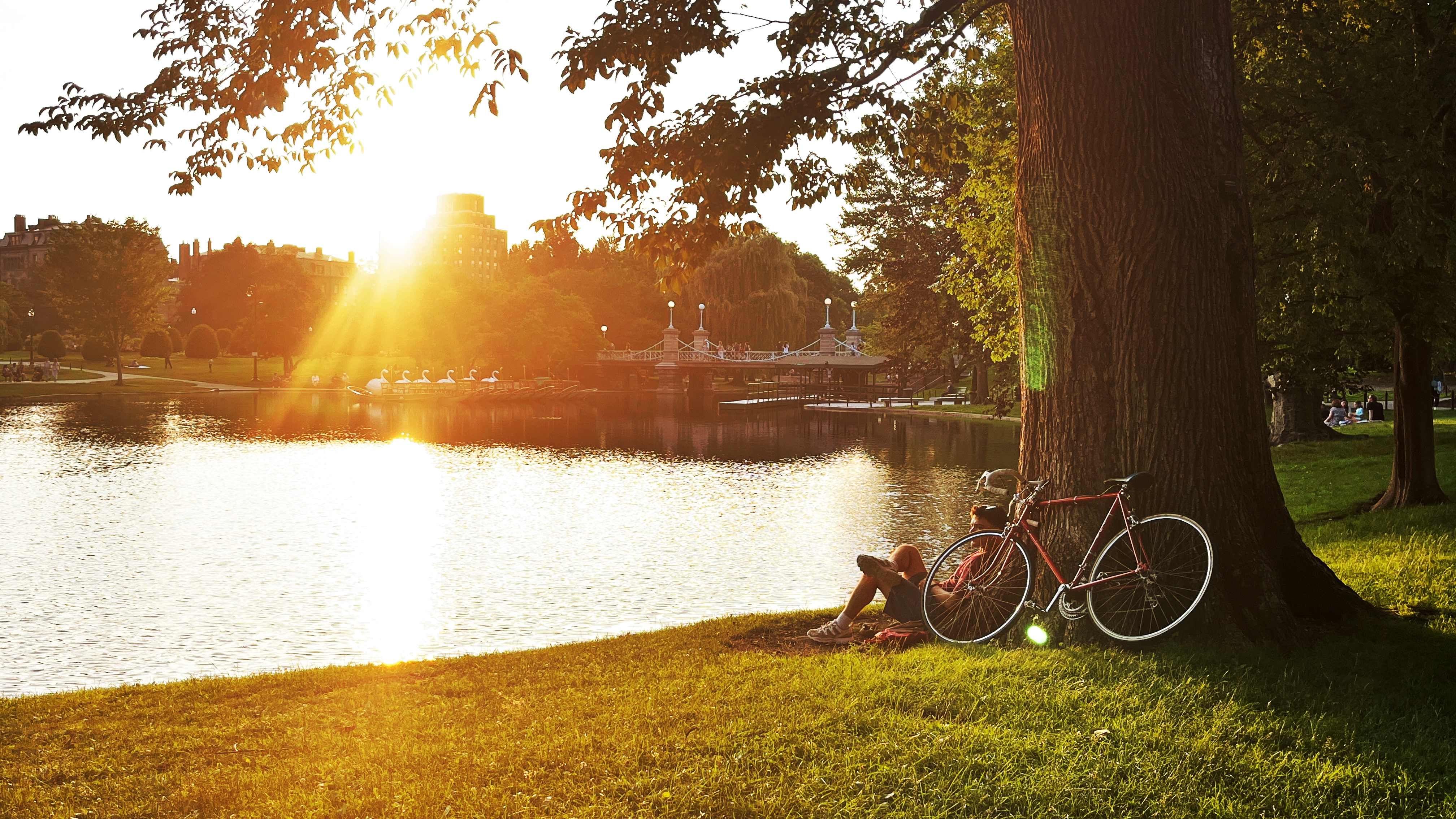 Boston Common, Boston